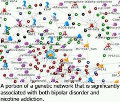 This image shows the result of Concepts map about bipolar disorder.